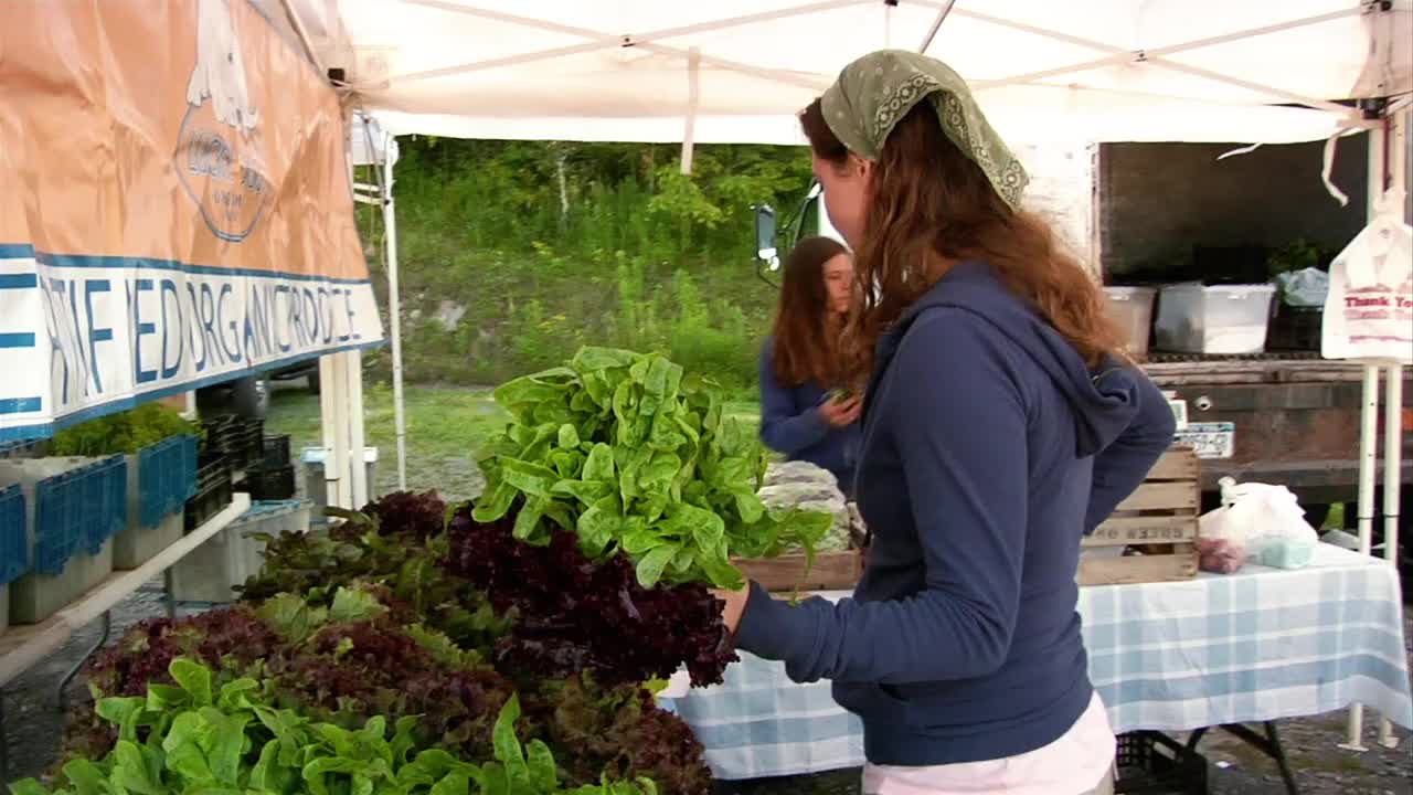 在农贸市场，一位中年妇女正在整理莴苣头视频下载