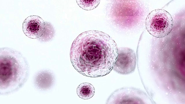 干细胞免疫疗法干细胞漂浮视频下载