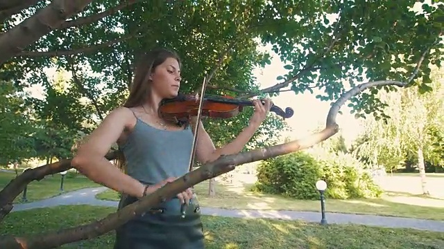 年轻的时髦女子在夕阳下的树枝间拉小提琴视频下载