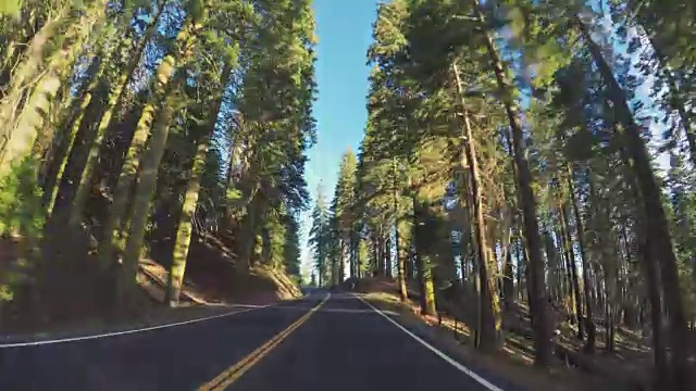 在优胜美地国家公园，蒂奥加山口视频素材