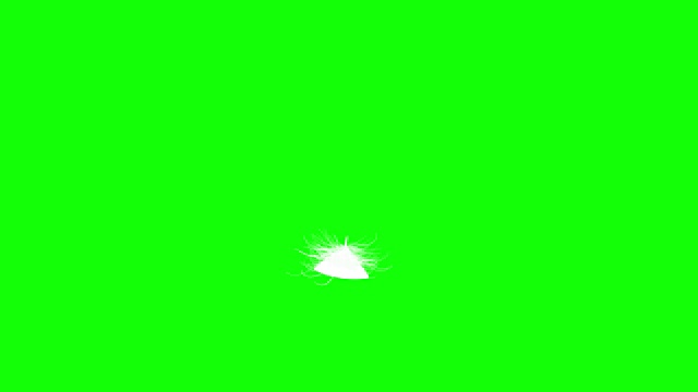 4 k。飞羽。绿色的屏幕。无缝循环。视频素材