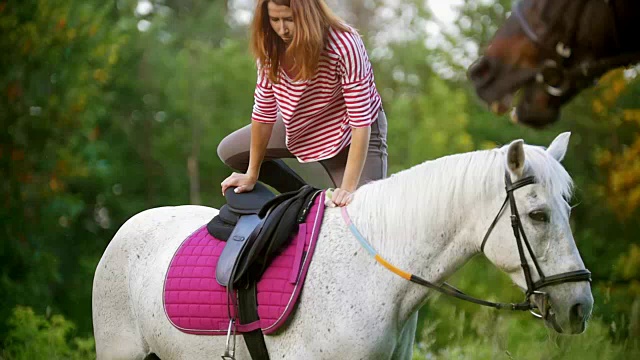 年轻女子在夏日的草地上骑着一匹白马视频下载