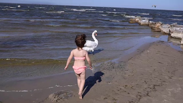 可爱的小孩和海滩上的天鹅视频素材