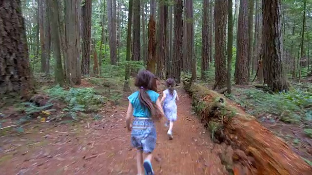 姐妹们跟着摄像机跑过森林视频下载