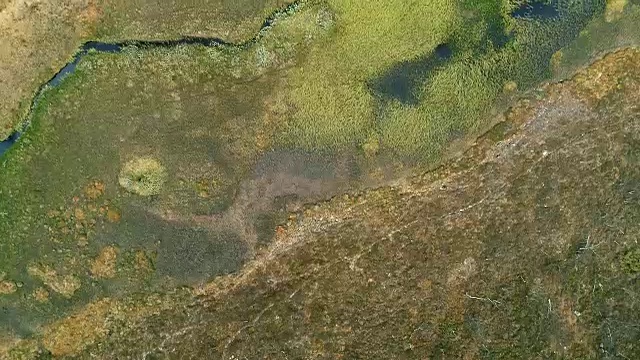 无人机飞越一个绿色崎岖的山景与湖泊，河流和郁郁葱葱的森林。视频素材
