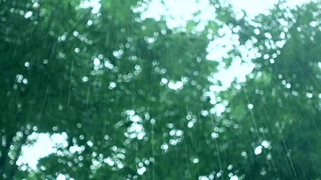 雨天视频下载