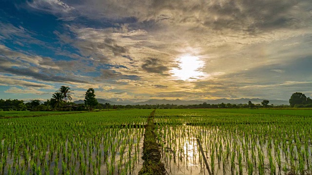 稻田和日落，4K时间流逝。视频素材