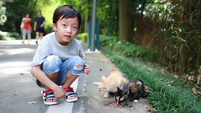 可爱的孩子和猫视频下载