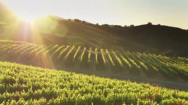 太阳在葡萄园后面覆盖的山在北加州-无人机拍摄视频下载