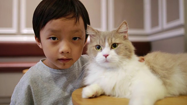 可爱的孩子和猫视频素材