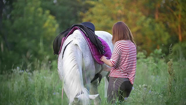夏日的田野里，年轻女子给马套上马鞍视频下载
