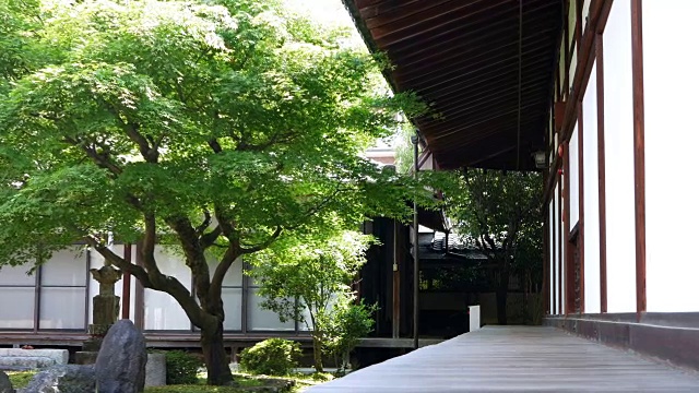 一座带有日式花园的佛教寺庙视频素材