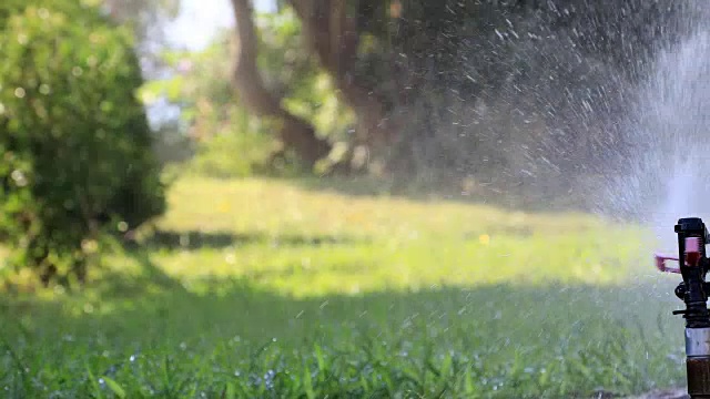 在一个阳光明媚的夏日，花园洒水器在给绿色的草坪浇水视频素材