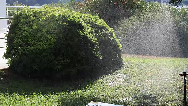 在一个阳光明媚的夏日，花园洒水器在给绿色的草坪浇水视频素材