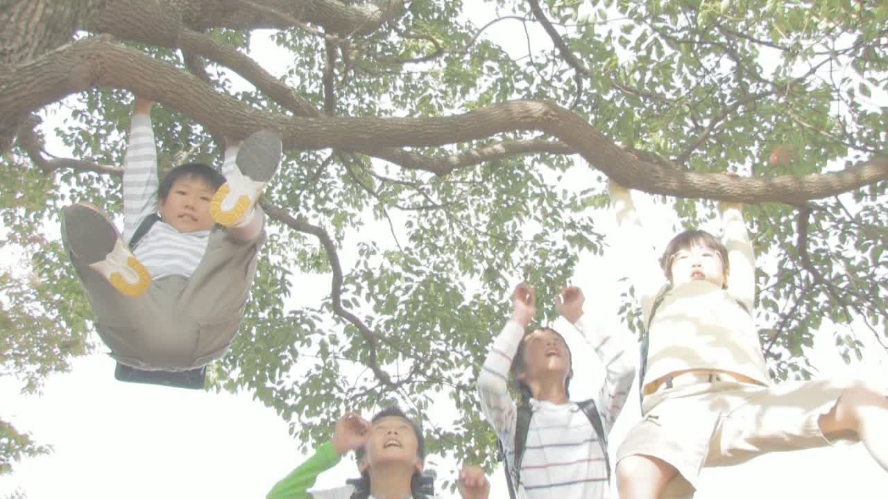 男孩们抓着树枝视频素材