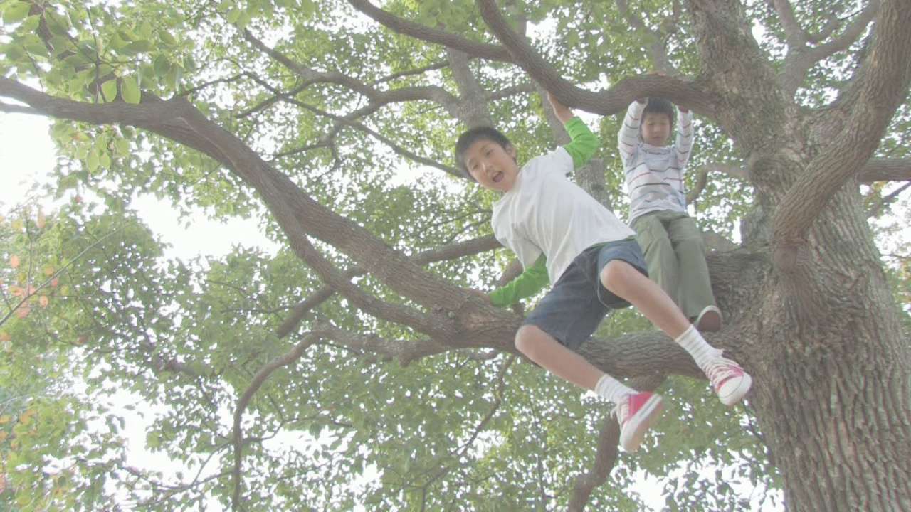 男孩从树上跳下来视频素材