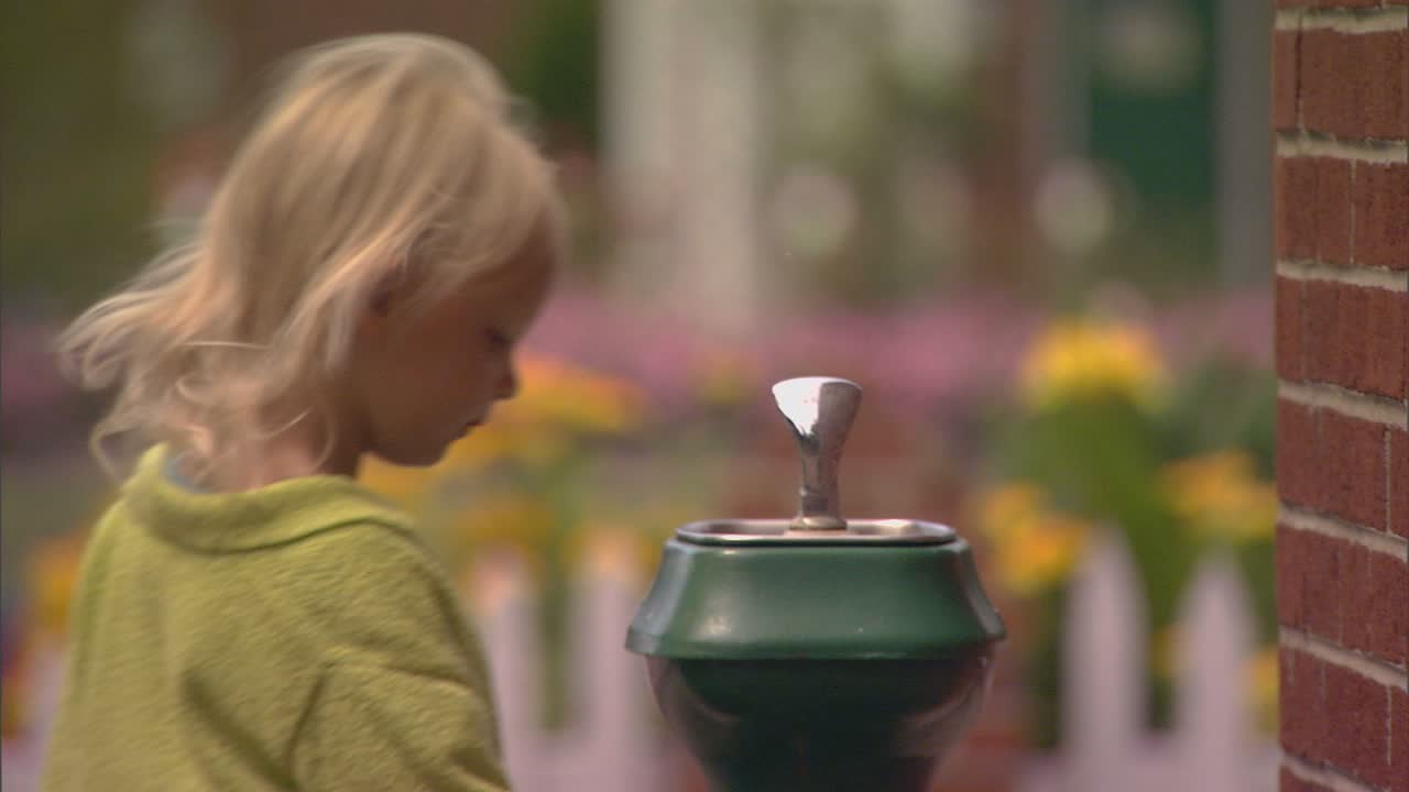 荷兰，米格尔在喷泉里喝水视频素材