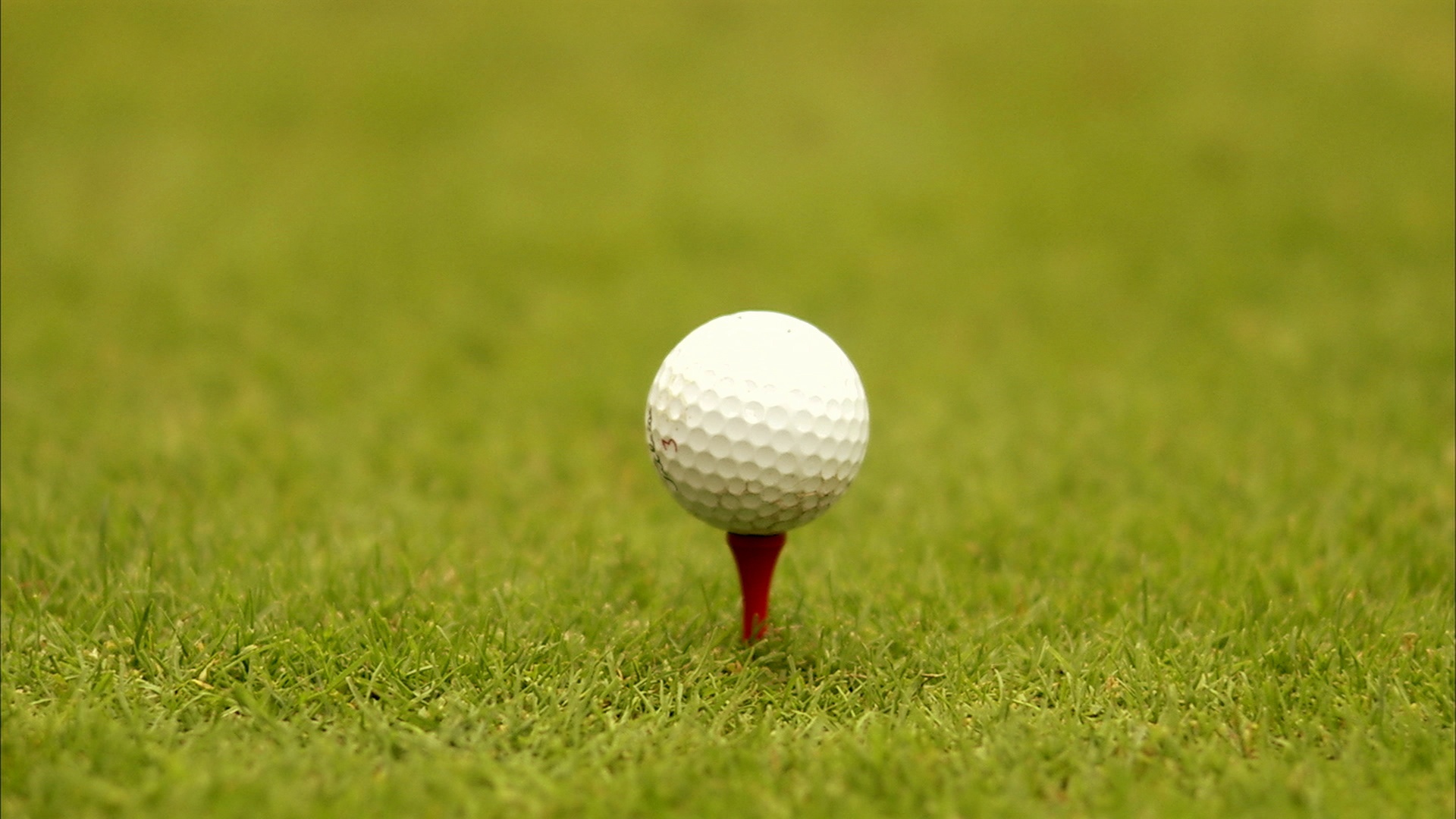 一个钉子上的高尔夫球，特写瑞典。视频素材