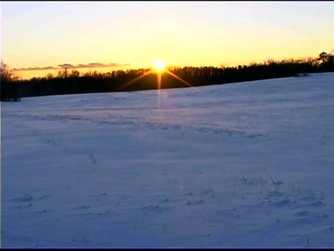 日落时，雪花在田野上飞舞视频素材