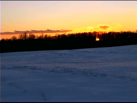 日落时，雪花在田野上飞舞视频素材