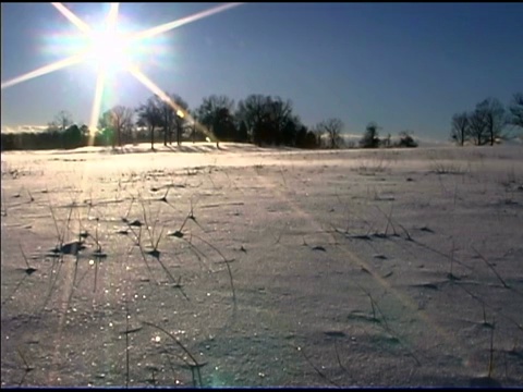 雪吹过阳光明媚的田野视频素材