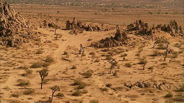 HA岩石沙漠，有稀疏的植被和遥远的山脉视频下载