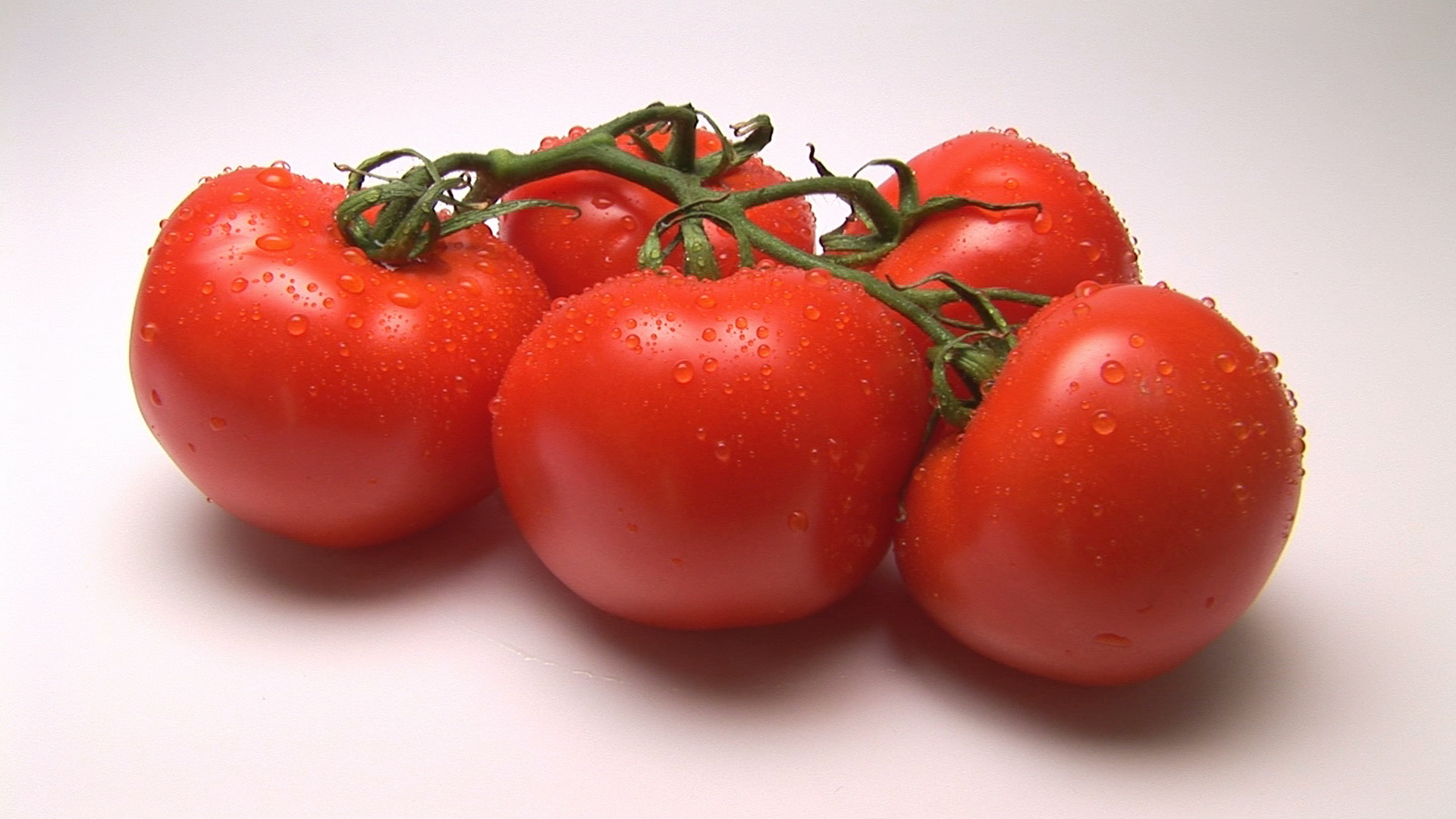 西红柿视频素材