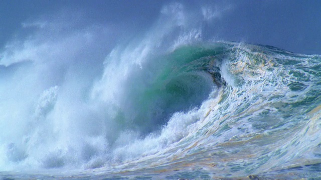大波浪。视频下载