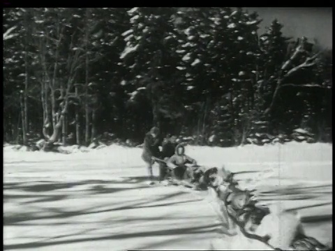 20世纪40年代，蒙太奇狗拉雪橇穿过积雪覆盖的地面/美国视频素材