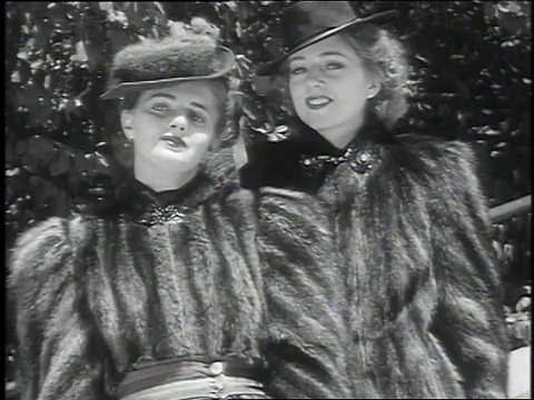 1939年，蒙太奇动物和毛皮大衣被用于/布朗克斯，纽约，美国视频素材