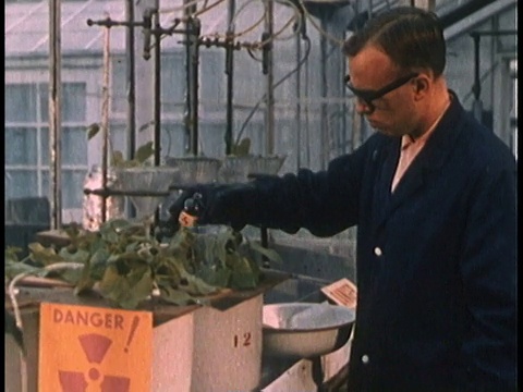 1958年，蒙太奇科学家将放射性同位素注入土壤，开始向植物浇水/美国视频素材