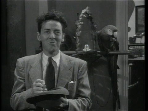 1948年，男人和鹦鹉说话，在美国数钱视频素材