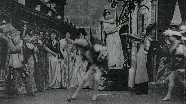 1901年，军官们从达官贵人的地窖中救出被俘虏的女士和他受虐待的妻子，而小丑则爬到安全的地方视频下载