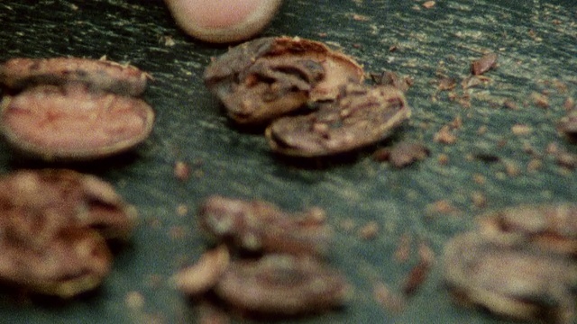 1985年蒙太奇街小贩倒、称重和压碎可可豆/英国伦敦城视频下载