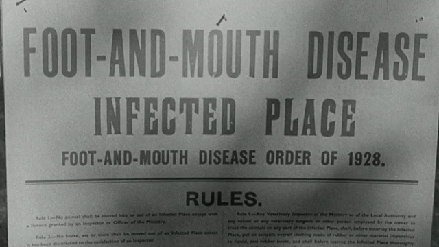 1955年蒙太奇兽医检查奶牛疾病并发布口蹄疫命令/英国视频下载
