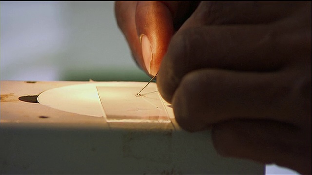 ZI实验室技术人员在实验室/塞内加尔检测蚊子标本视频下载