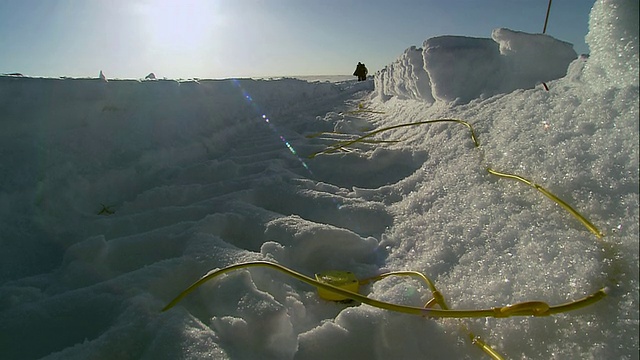 美国阿拉斯加，洛杉矶冰路工人沿着雪地上的拖拉机踏痕往回走，把黄色电缆埋在雪地里视频素材