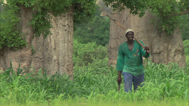 塞内加尔达喀尔，一名肩上扛着铁锹的工人穿过田野视频下载