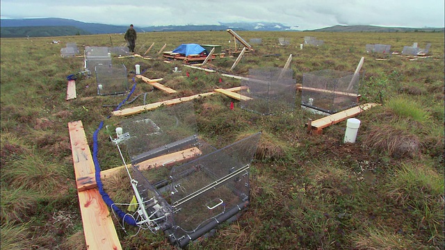 两名研究人员抵达一个岩心钻探地点，用木板作为通道来保护生态系统/美国阿拉斯加视频下载