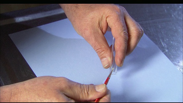 ZI科学家将鹿蜱放在手上/美国康涅狄格州纽黑文视频素材