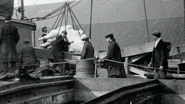 蒙太奇传送带在甲板上搬运肉袋，工人们正在卸货/英国伦敦视频下载