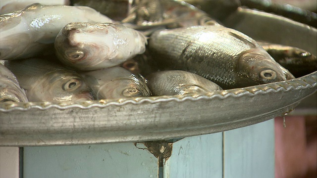 巴林麦纳麦室内鱼市展示的一盘小鱼和一堆大鱼视频下载