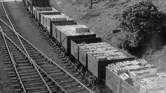 蒙太奇火车在乡村和高地的一座桥上行驶，一列货运火车在西康沃尔/英国的轨道上缓慢移动视频下载