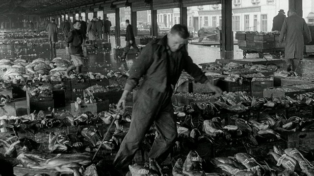 蒙太奇码头满船，工人卸载新鲜的鱼，并展示给潜在的买家在运输/英国视频下载