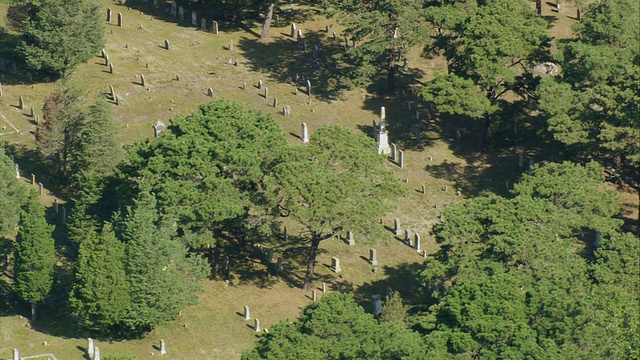 美国马萨诸塞州奇马克公墓，树木间的空中墓碑视频下载