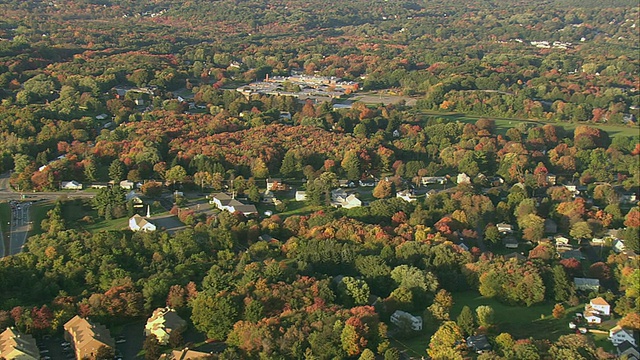 空中飘落的树叶散落在美国马萨诸塞州的一个居民区视频下载