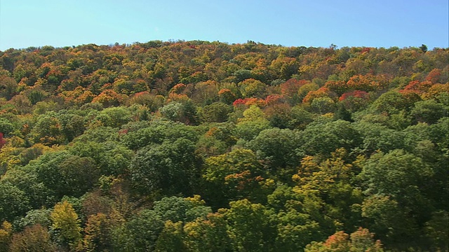 空中茂密的森林，在起伏的山坡上有着丰富的秋天颜色的树木/马萨诸塞州，美国视频下载