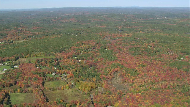 空中秋天的颜色，茂密的森林和散布在树木中的房屋/马萨诸塞州，美国视频下载