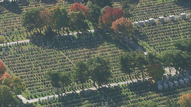 空中森林山公墓，整齐排列着墓碑和秋叶/波士顿，马萨诸塞州，美国视频下载