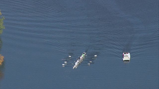 空中划艇队查尔斯河/波士顿，马萨诸塞州，美国视频素材